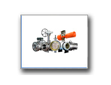 Plants: image 1 0f 4 thumb